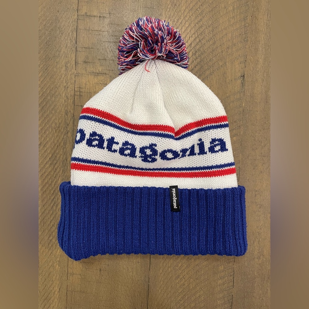 Patagonia powder town beanie